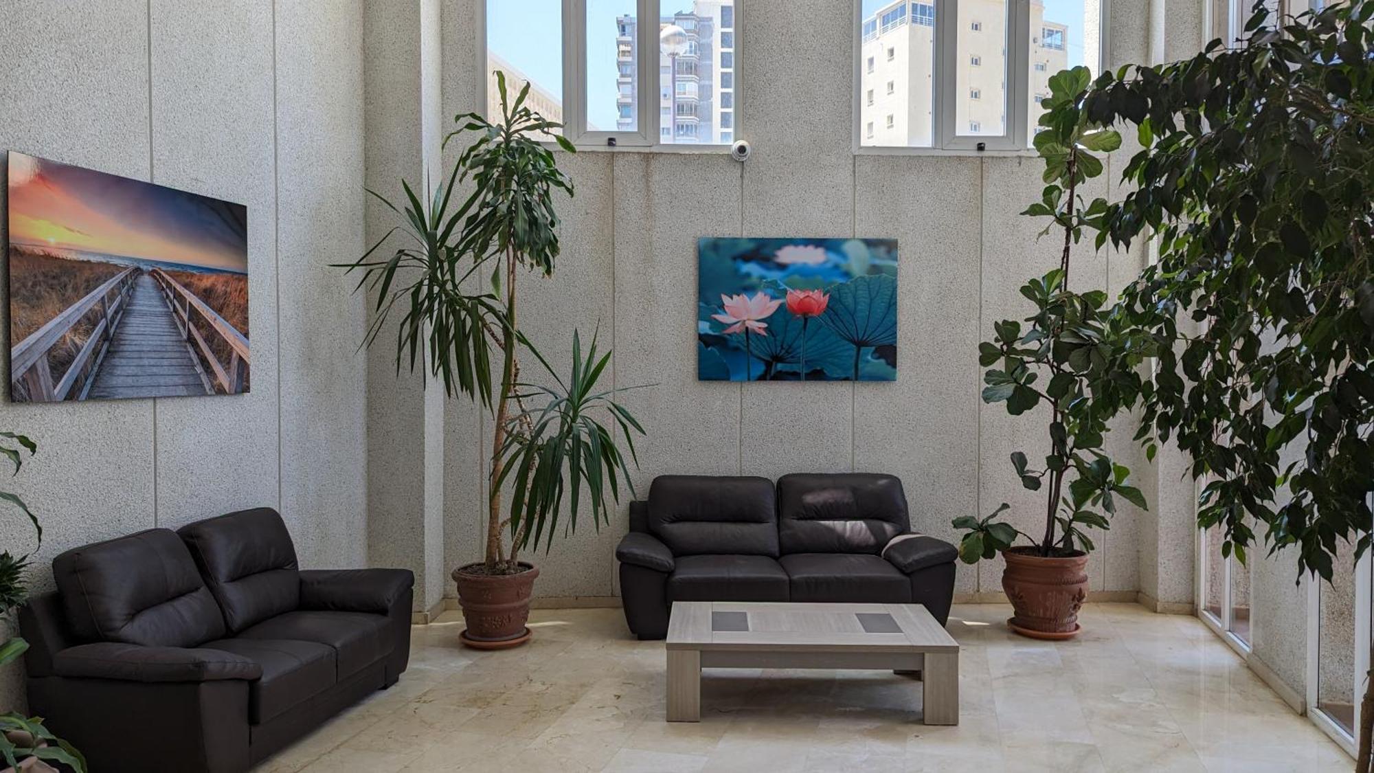 Tropic Mar Sea View Apartments Benidorm Eksteriør billede